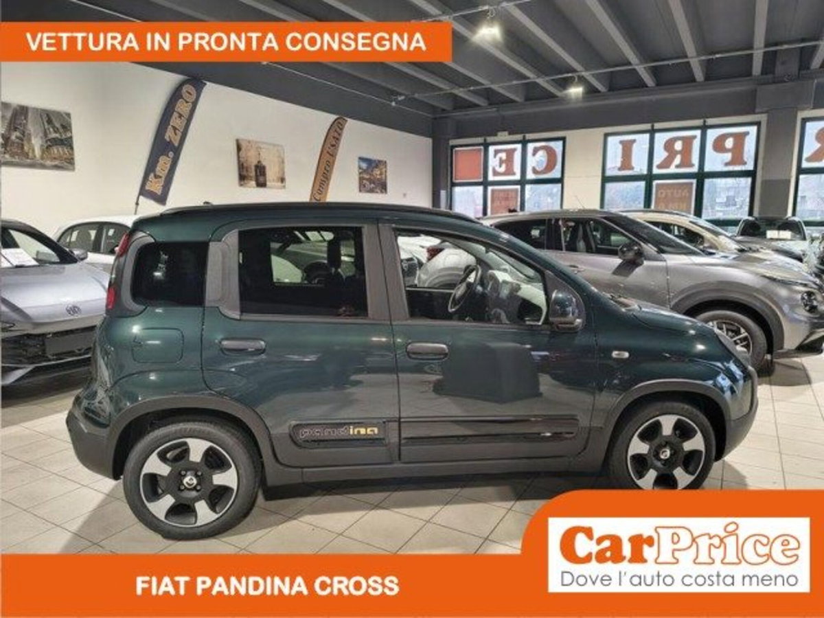 Fiat Pandina 1.0 firefly hybrid s&s 65cv (6)