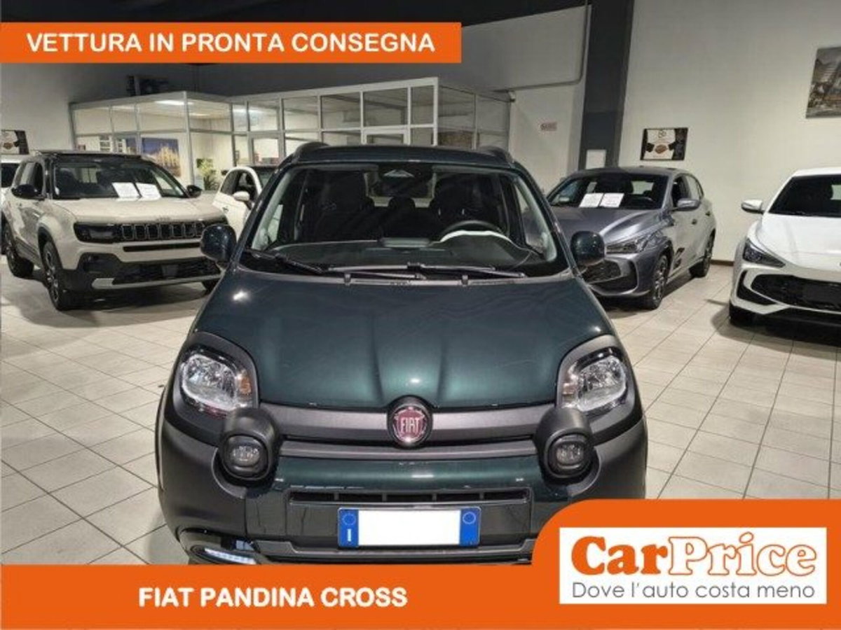 Fiat Pandina 1.0 firefly hybrid s&s 65cv (7)