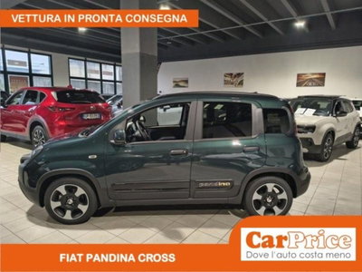 Fiat Pandina 1.0 firefly hybrid s&s 65cv (5)