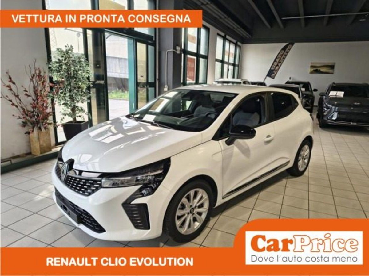 Renault Clio 1.0 tce Evolution 90cv (15)