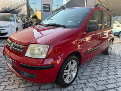 Fiat Panda 1.2 Alessi usata