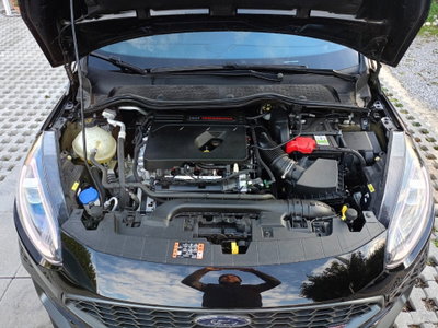 Ford Fiesta 1.5 Ecoboost 200 CV 5 porte ST (20)