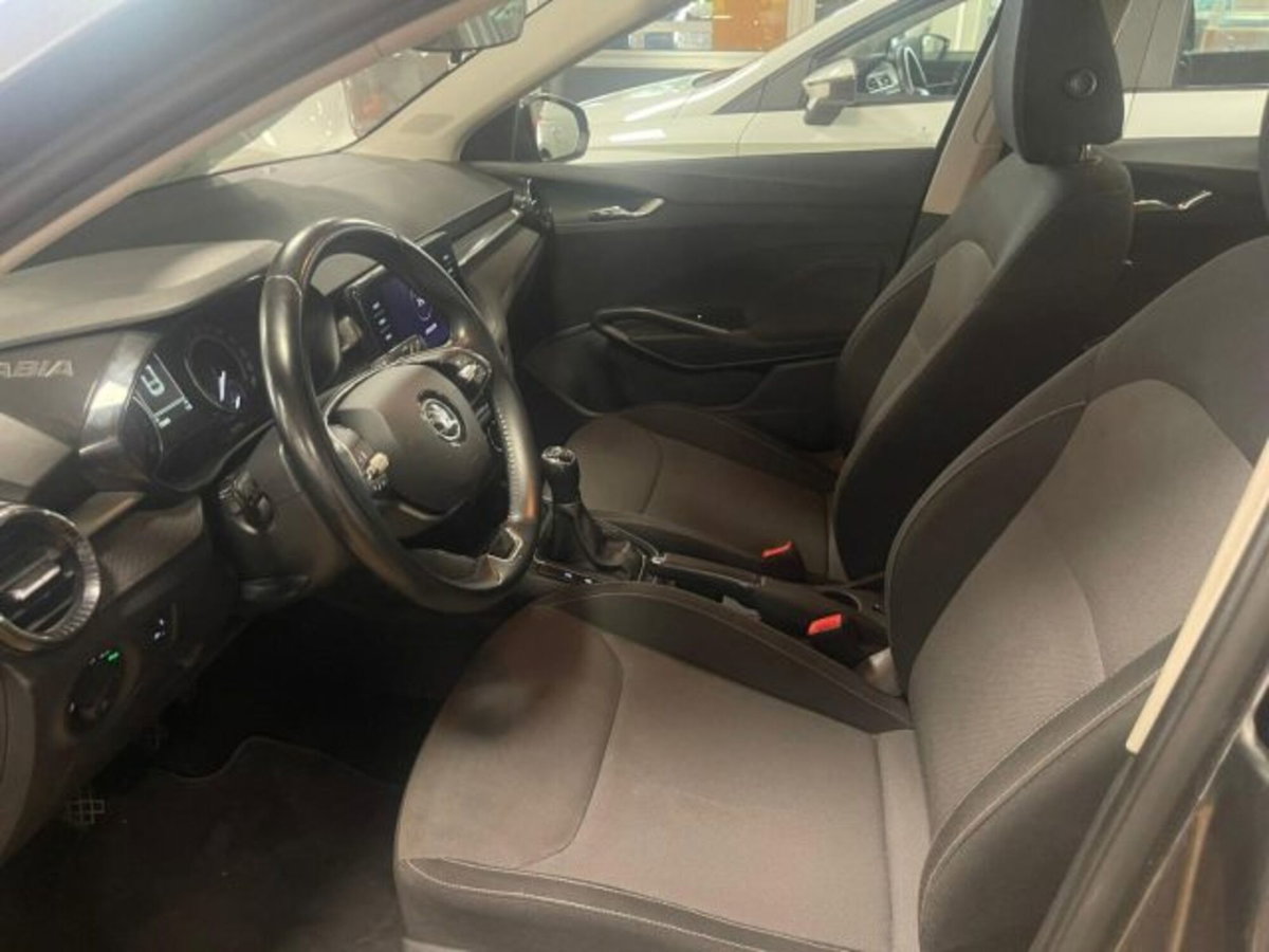 Skoda Fabia 1.0 TSI EVO 95 CV Ambition (12)