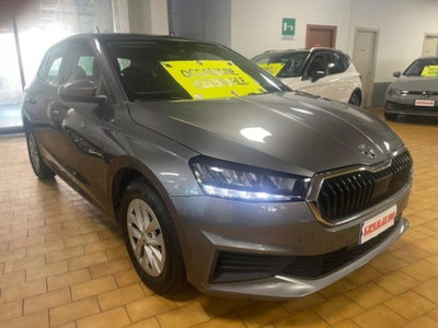 Skoda Fabia 1.0 TSI EVO 95 CV Ambition (2)