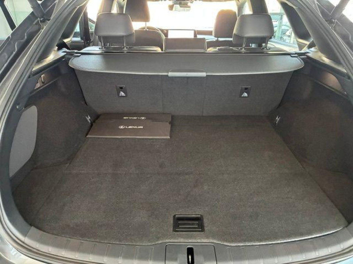 Lexus RX 350h 2.5 premium hybrid Executive e-cvt (14)