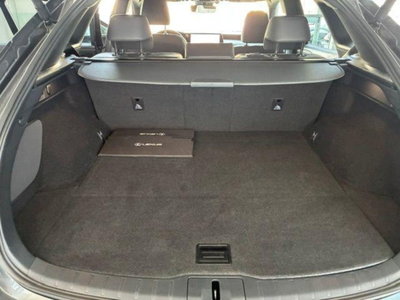 Lexus RX 350h 2.5 premium hybrid Executive e-cvt (14)