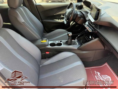 Peugeot 2008 BlueHDi 100 S&S Allure Navi Pack (19)
