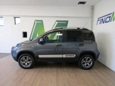 Fiat Panda Cross Cross 0.9 TwinAir Turbo S&S 4x4 (6)