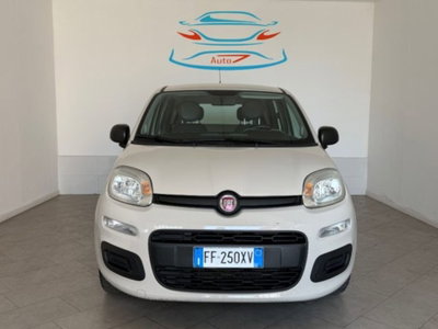 Fiat Panda 1.2 Pandazzurri usata