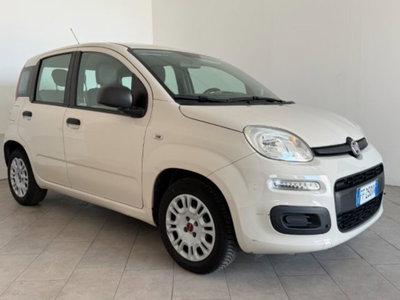 Fiat Panda 1.2 Pandazzurri (2)