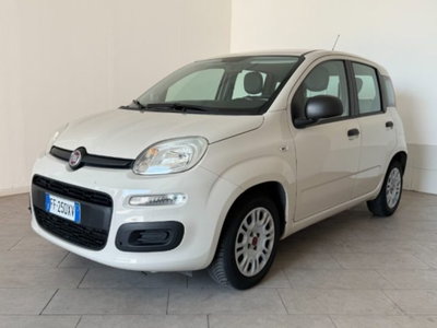 Fiat Panda 1.2 Pandazzurri (3)
