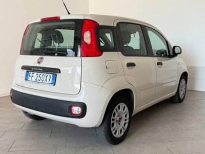 Fiat Panda 1.2 Pandazzurri (4)