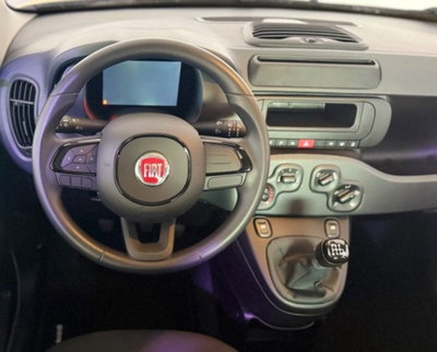 Fiat Pandina 1.0 firefly hybrid Icon s&s 65cv (12)