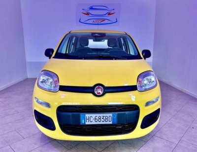 Fiat Pandina 1.0 firefly hybrid Icon s&s 65cv nuova