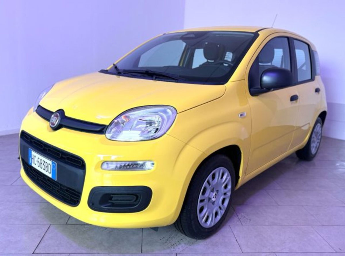 Fiat Pandina 1.0 firefly hybrid Icon s&s 65cv (3)