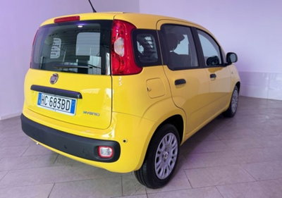 Fiat Pandina 1.0 firefly hybrid Icon s&s 65cv (4)