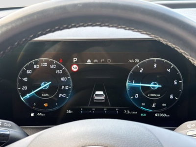 Kia Sportage 1.6 crdi mhev Style dct (15)