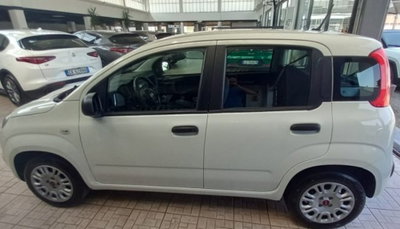 Fiat Panda 1.2 Easy (4)