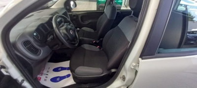 Fiat Panda 1.2 Easy (5)