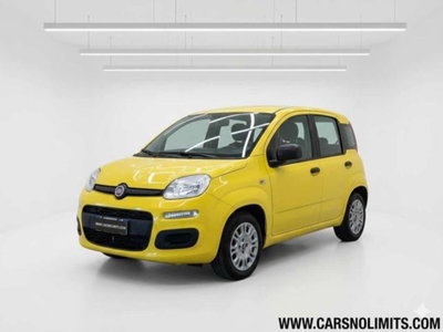 Fiat Panda 1.0 firefly hybrid s&s 70cv 5p.ti (4)