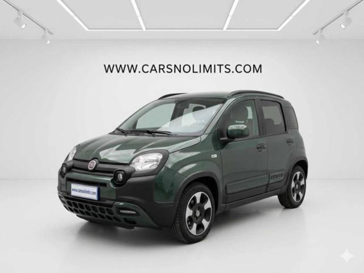 Fiat Panda 1.0 firefly hybrid s&s 70cv 5p.ti (7)