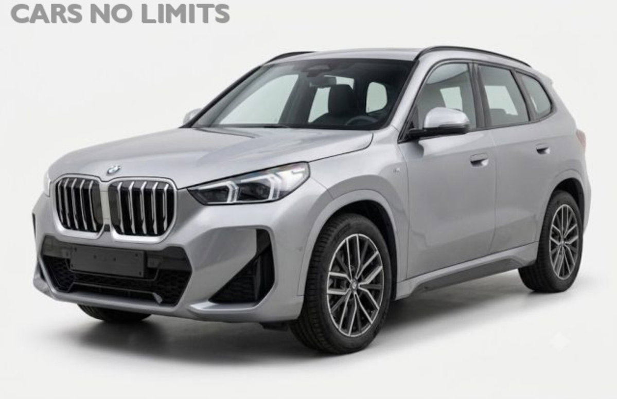 BMW X1 sDrive 18i Msport (9)