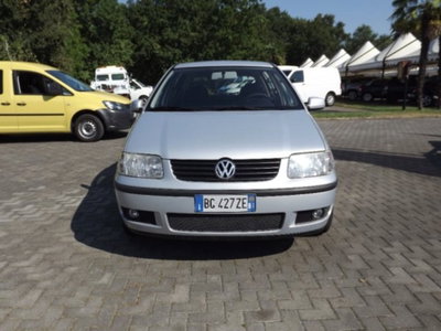 Volkswagen Polo 1.4 cat 5 porte Comfortline Air usata