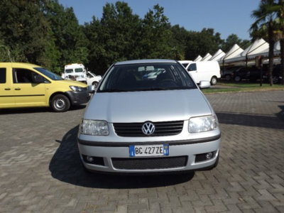 Volkswagen Polo 1.4 cat 5 porte Comfortline Air (2)