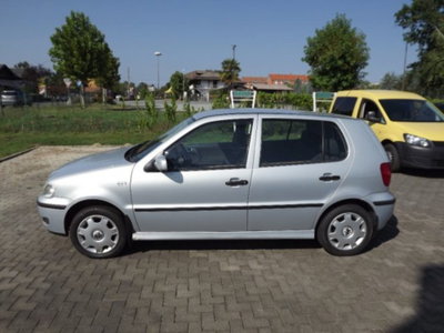 Volkswagen Polo 1.4 cat 5 porte Comfortline Air (4)