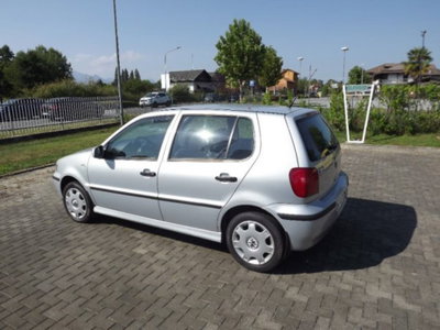 Volkswagen Polo 1.4 cat 5 porte Comfortline Air (5)