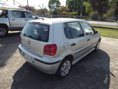 Volkswagen Polo 1.4 cat 5 porte Comfortline Air (8)
