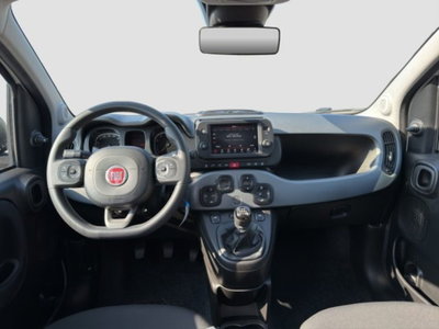 Fiat Panda 0.9 TwinAir Turbo S&S 4x4 Wild (12)