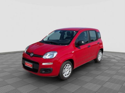 Fiat Panda Cross Cross 1.0 FireFly S&S Hybrid usata