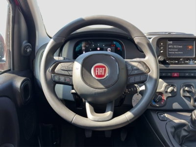 Fiat Panda Cross Cross 1.0 FireFly S&S Hybrid (13)