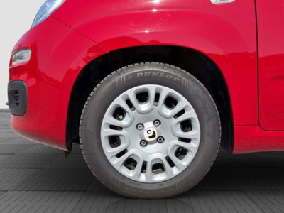 Fiat Panda Cross Cross 1.0 FireFly S&S Hybrid (16)