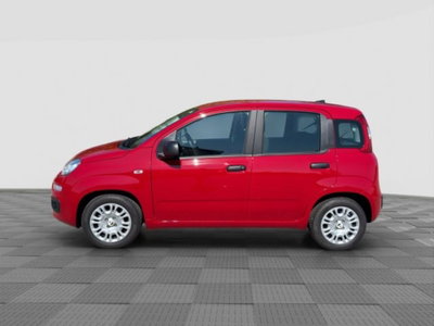 Fiat Panda Cross Cross 1.0 FireFly S&S Hybrid (2)