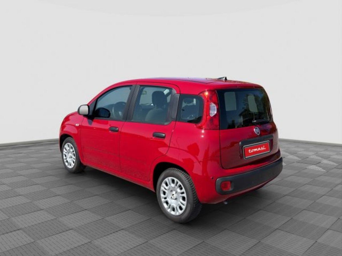 Fiat Panda Cross Cross 1.0 FireFly S&S Hybrid (3)