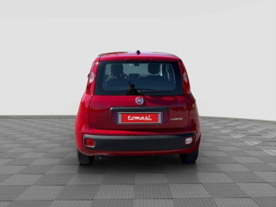 Fiat Panda Cross Cross 1.0 FireFly S&S Hybrid (4)