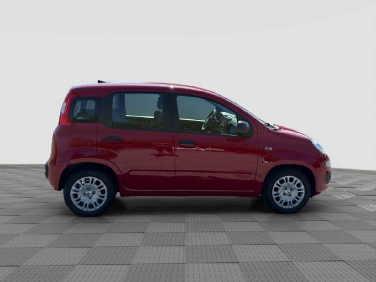 Fiat Panda Cross Cross 1.0 FireFly S&S Hybrid (6)