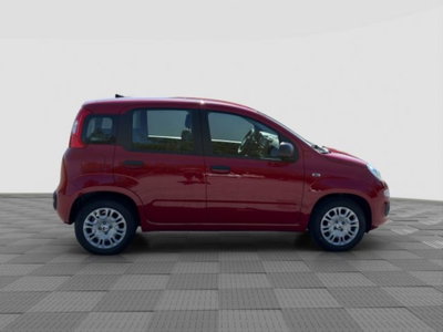 Fiat Panda Cross Cross 1.0 FireFly S&S Hybrid (6)