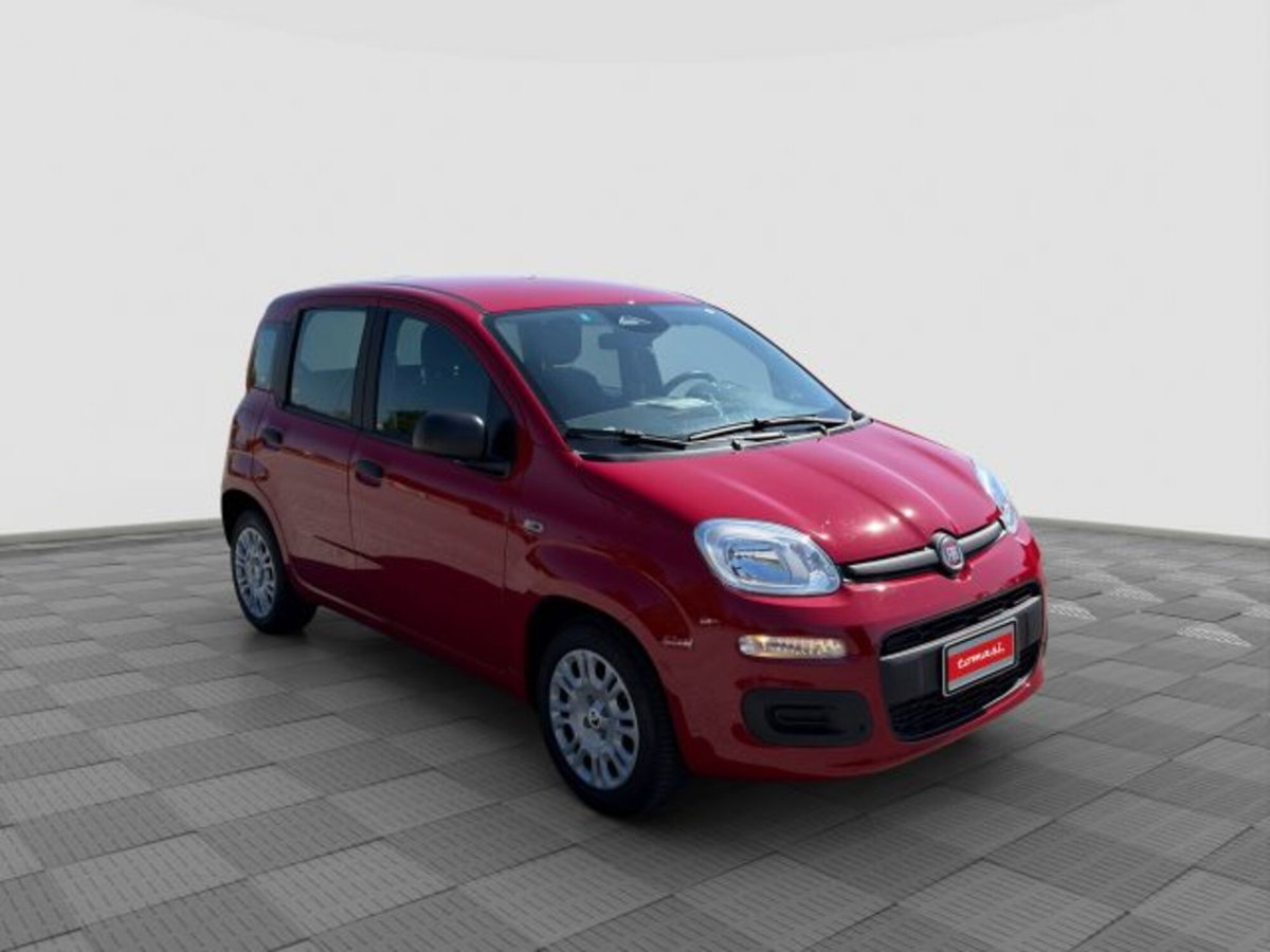Fiat Panda Cross Cross 1.0 FireFly S&S Hybrid (7)