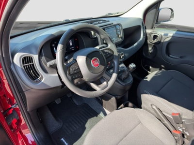 Fiat Panda Cross Cross 1.0 FireFly S&S Hybrid (9)