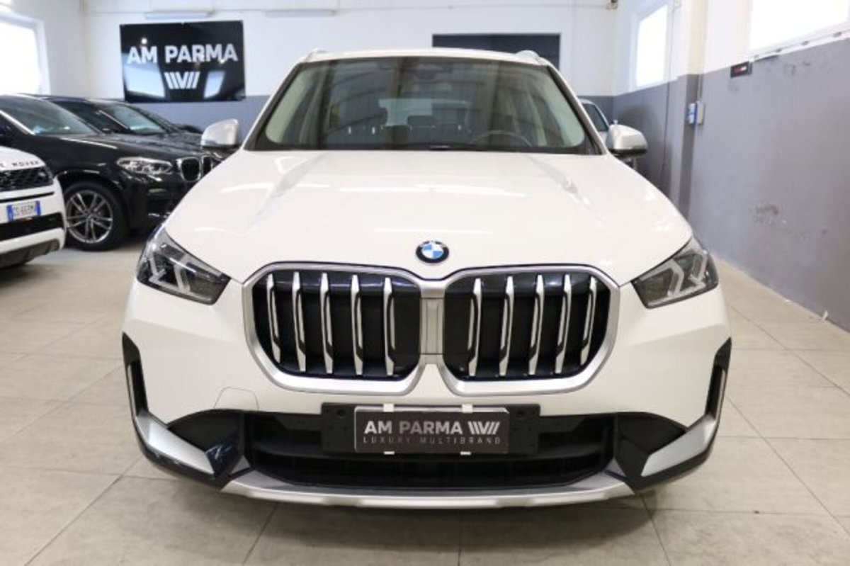 BMW X1 xDrive 20d xLine (2)
