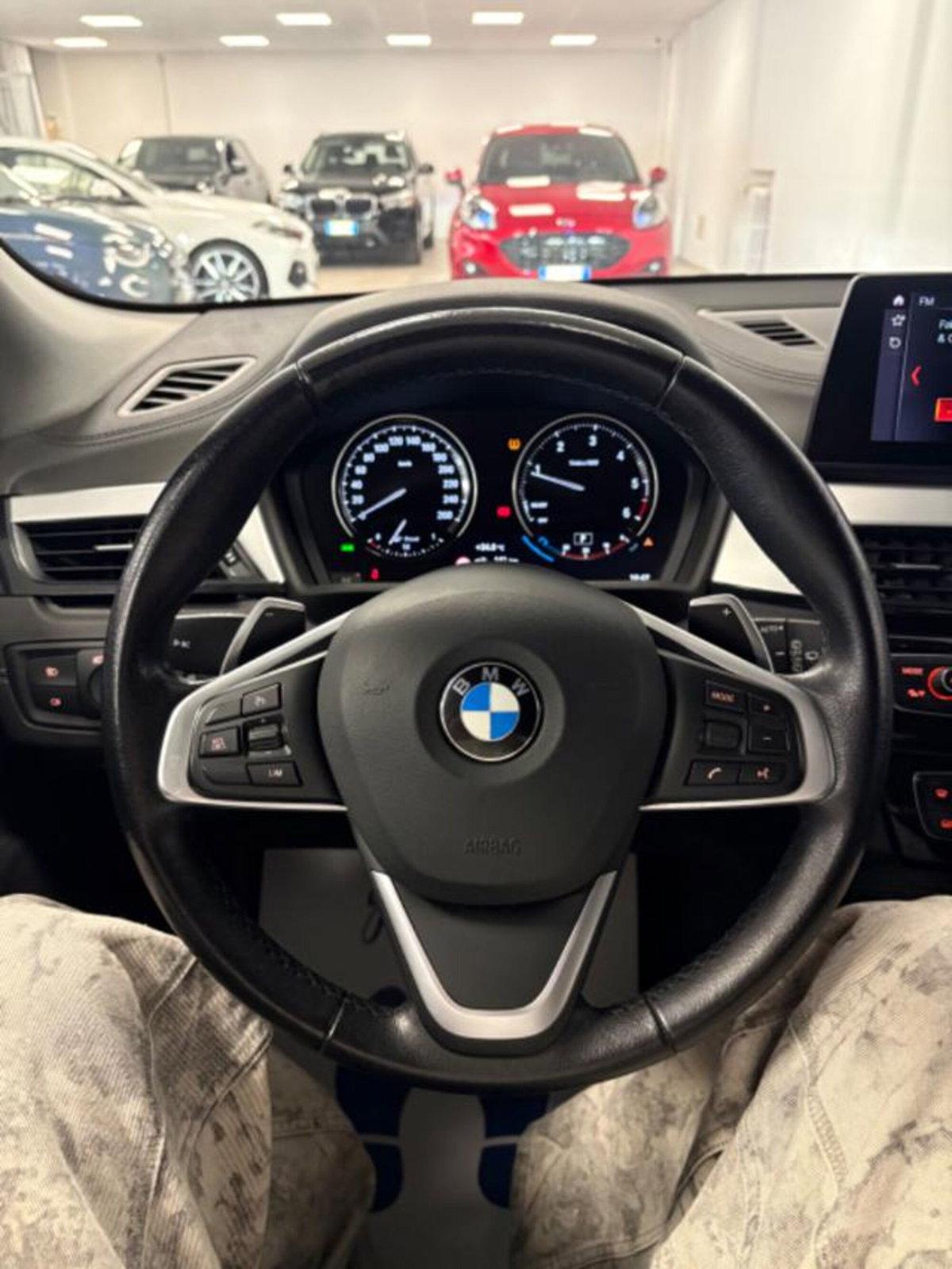 BMW X2 xDrive18d Advantage (9)
