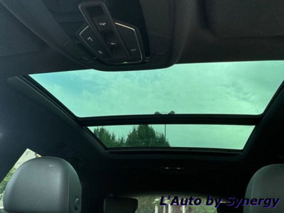 Audi Q8 Q8 50 TDI 286 CV quattro tiptronic Sport (12)