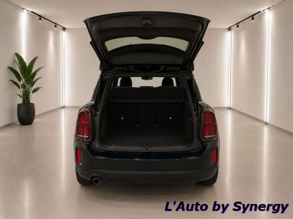MINI Mini Countryman 1.5 Cooper SE Business Countryman ALL4 Automatica (3)