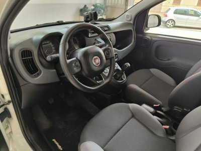 Fiat Panda 1.3 MJT 95 CV S&S 4x4 (5)