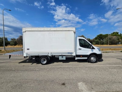 Ford Transit Furgone transit 350 2.0 tdci HDT 130cv trend L4 Scattolini p.lat.destra e sponda caricatrice (5)