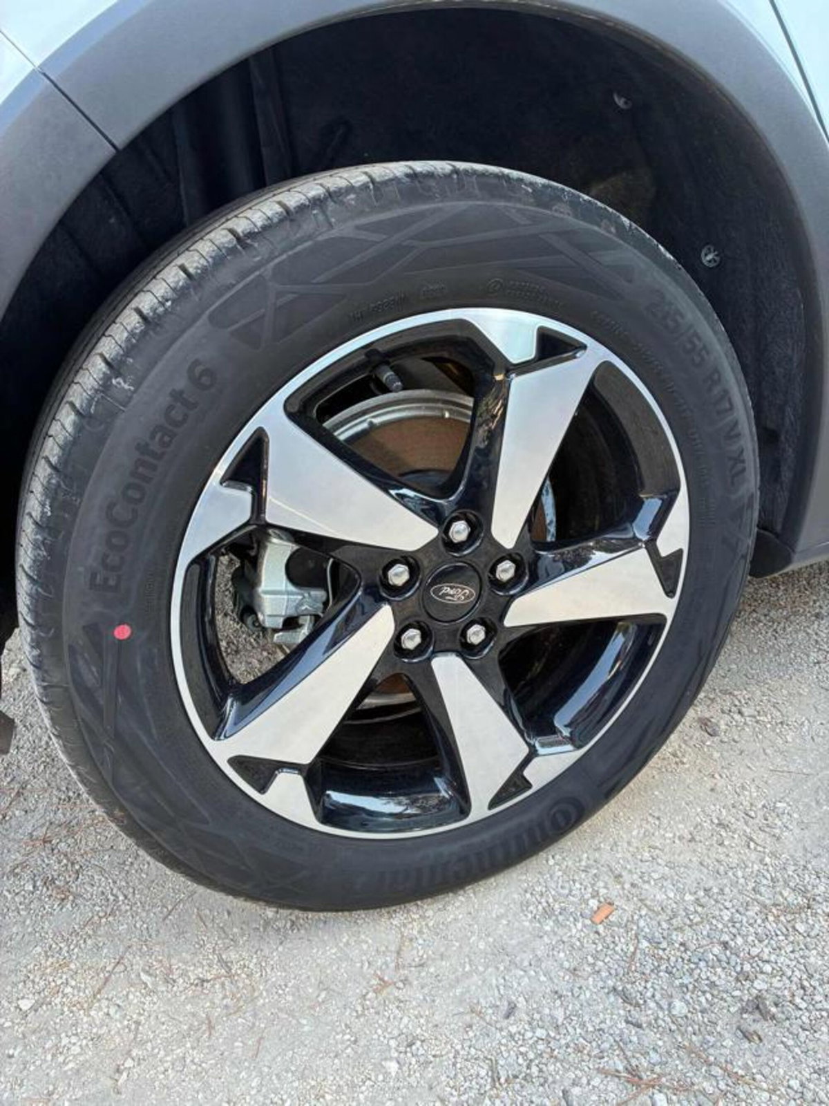 Ford Focus 1.0 EcoBoost Hybrid 125 CV Powershift 5p. Active X (18)