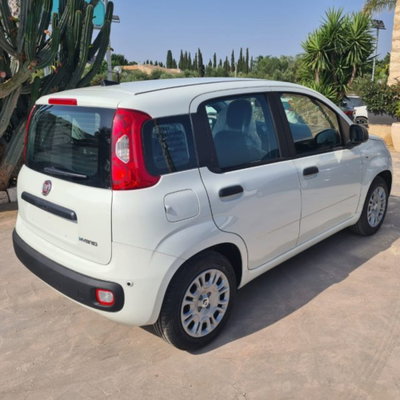 Fiat Pandina 1.0 firefly hybrid Icon s&s 65cv (5)